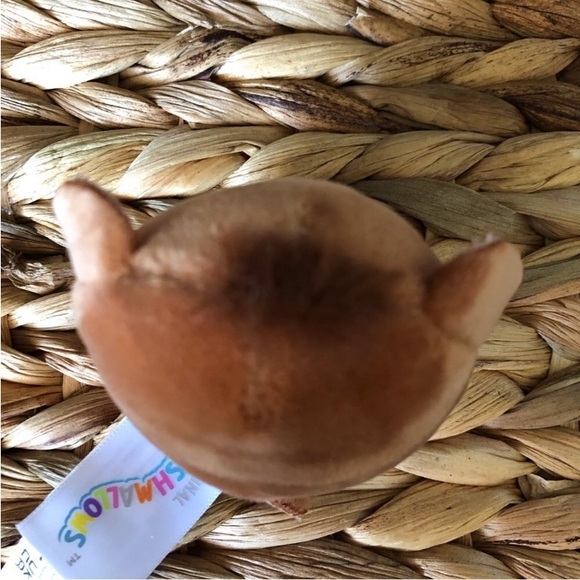 Squishmallows Micro Chienda the Woolly Mammoth - Picture 5 of 5